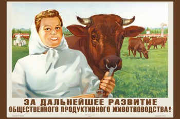 1219. Советский плакат: За дальнейшее развитие общественного продуктивного животноводства!