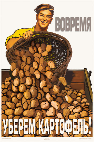 1280. Советский плакат: Вовремя уберем картофель!