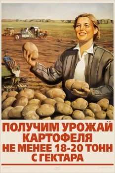 1281. Советский плакат: Получим урожай картофеля не менее 18 - 20 тонн с гектара