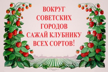 767. Советский плакат: Вокруг советских городов сажай клубнику всех сортов!