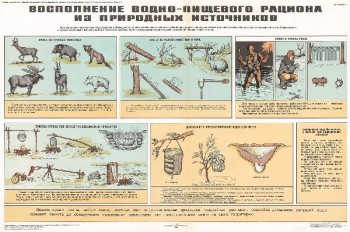 1248. Военный ретро плакат: Восполнение водно-пищевого рациона из природных источников