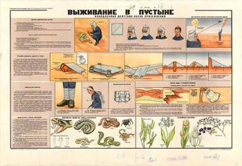 0158. Военный ретро плакат: Выживание в пустыне